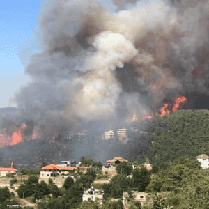 حريق غابات ضخم في عكار شمالي لبنان