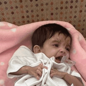 تستغرق عملية الفصل 8 ساعات