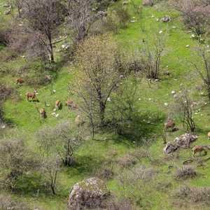 مسؤولون تحدثوا عن حريق مفتعل.