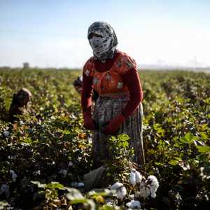 تتركز العمالة السورية في تركيا بقطاعي البناء والزراعة