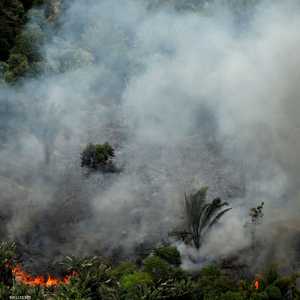 حرائق غابات الأمازون وتهدد بقية أنحاء الكوكب