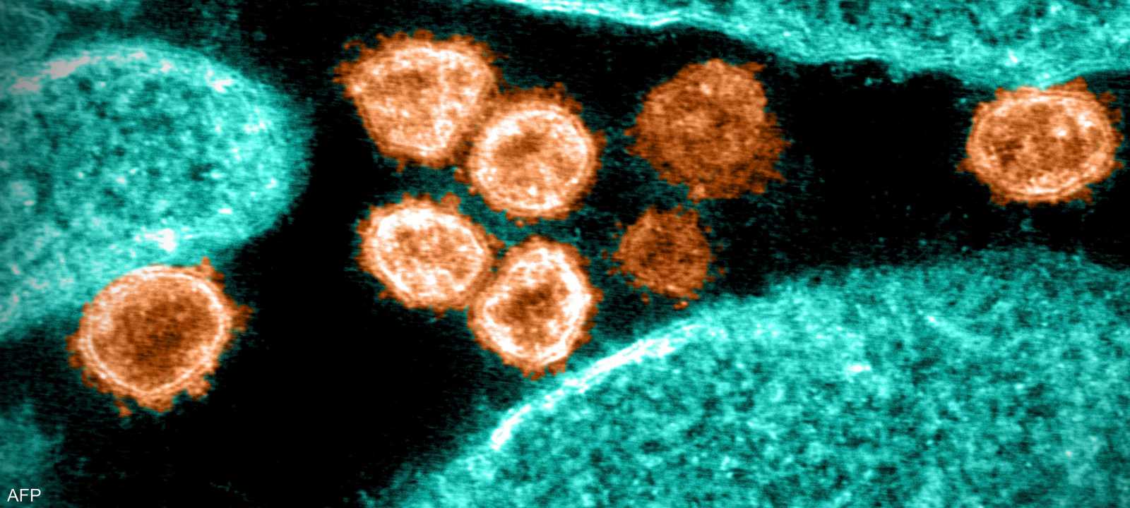 سلالات كورونا الجديدة أكثر مقاومة للقاحات