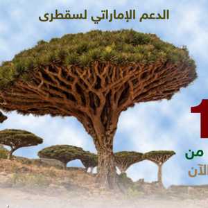 الدعم الإماراتي لسقطرى شمل قطاعات حيوية مختلفة