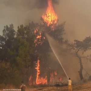 تركيا: ارتفاع ضحايا حرائق الغابات إلى 6 قتلى