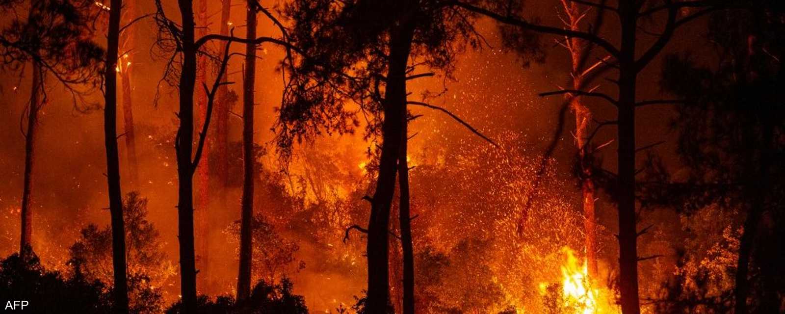 في واحدة من أسوأ الكوارث البيئية على الإطلاق، يتواصل اندلاع حرائق الغابات في منطقة شرق البحر المتوسط، من تركيا إلى اليونان وإيطاليا.