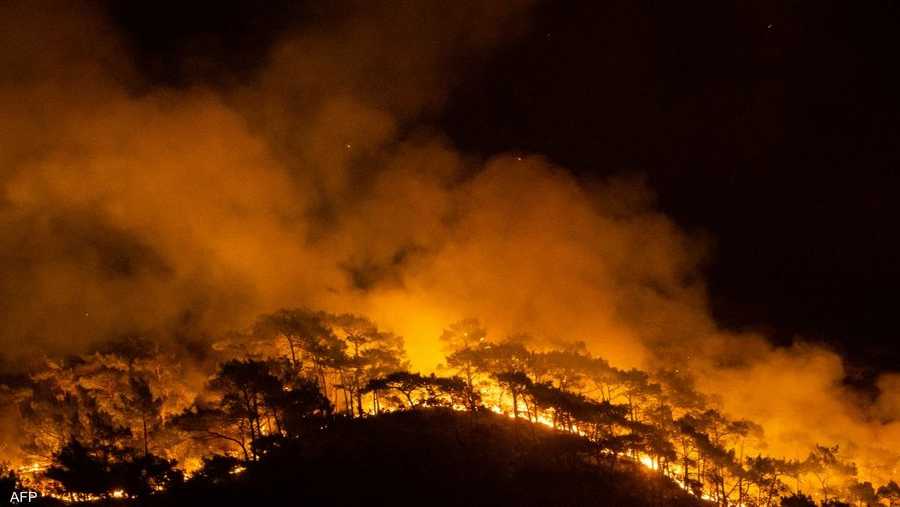 الحرائق تندلع بين وقت وآخر في بُقع مختلفة ومتناثرة من هذه الغابات الساحلية، ولأسباب مجهولة حتى الآن.