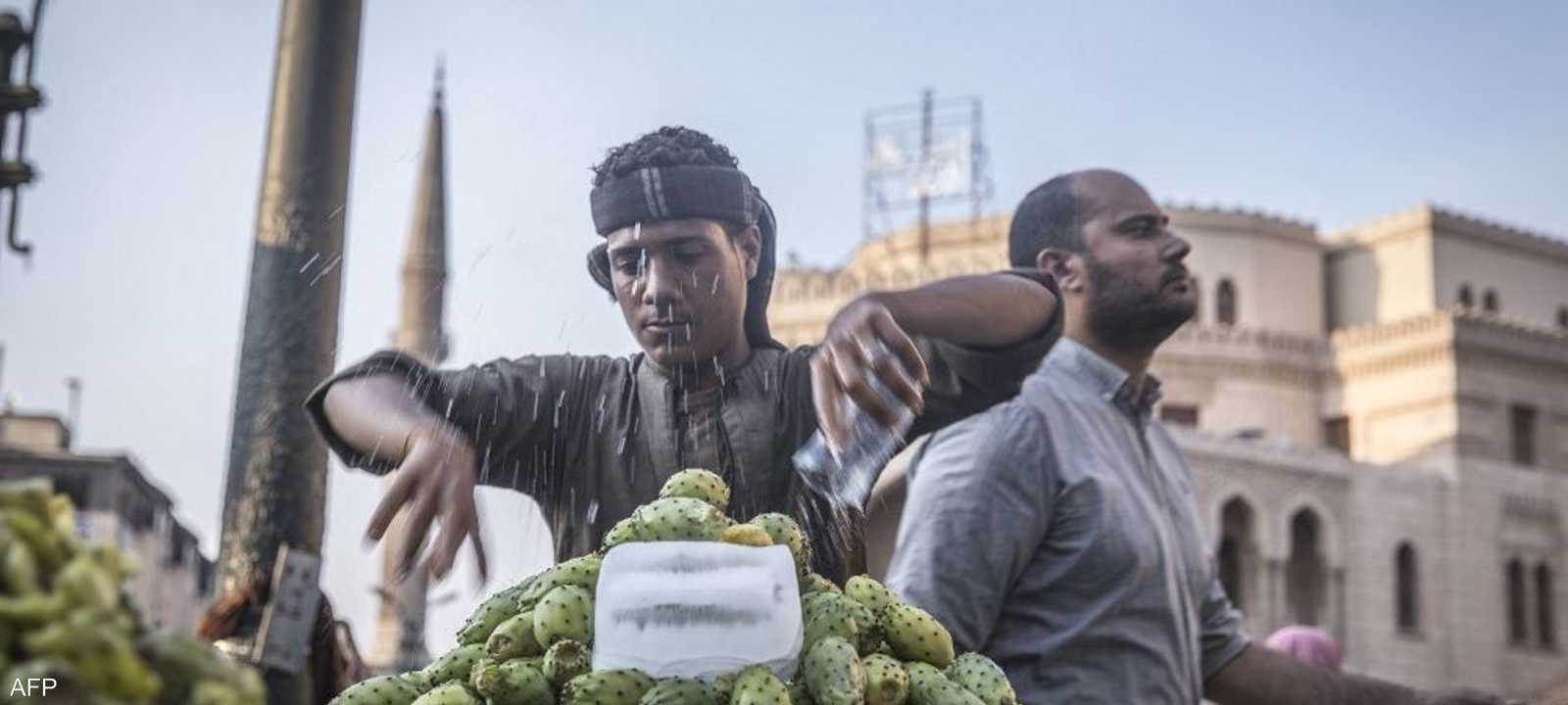 أحد باعة التين الشوكي في مصر