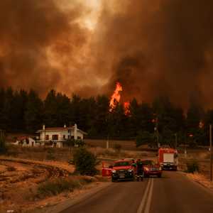 طالت الحرائق 150 ألف فدان من الغابات