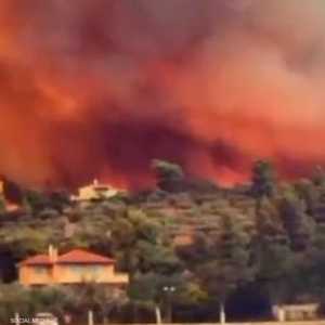 النيران المستعرة أكلت الأخضر واليابس في هذه المنطقة باليونان