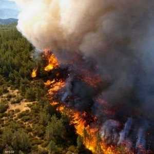 جانب من الحرائق في الجزائر