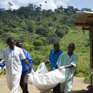 ينتمي فيروس ماربورغ إلى نفس عائلة الإيبولا