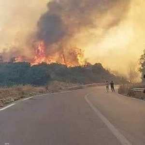 فرق الإنقاذ تعمل على إخماد الحرائق