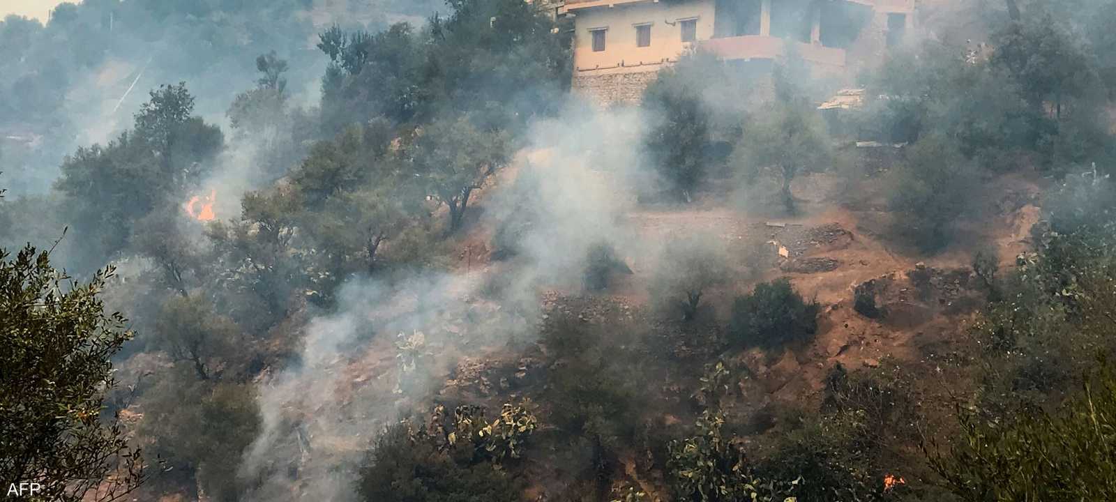 اندلعت عشرات الحرائق في الغابات شمال الجزائر