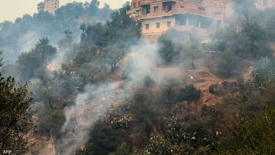 اندلعت عشرات الحرائق في الغابات شمال الجزائر