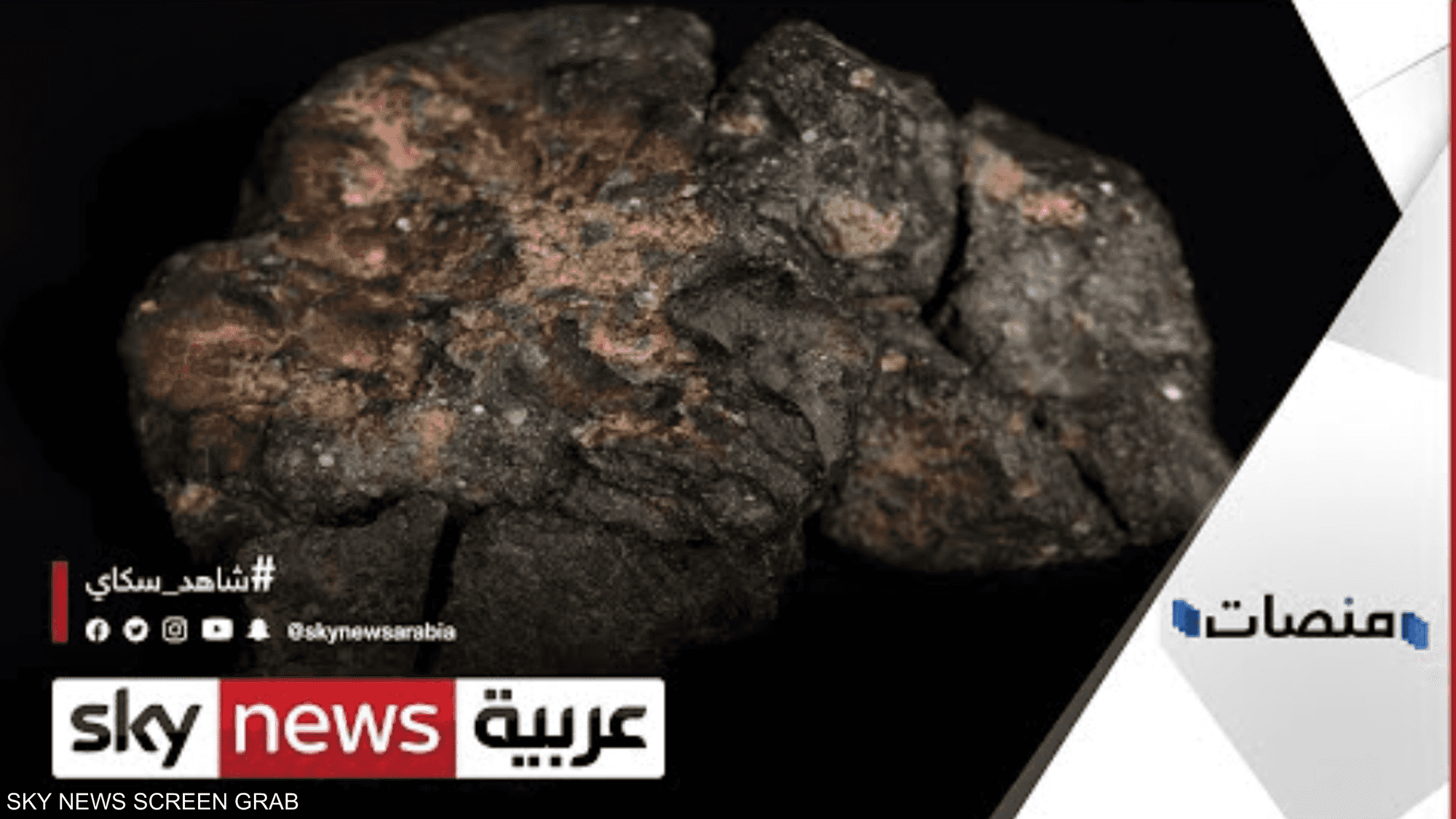 بـ50 ألف دولار.. فلكي أردني يعرض نيزكا حديديا كبيرا للبيع