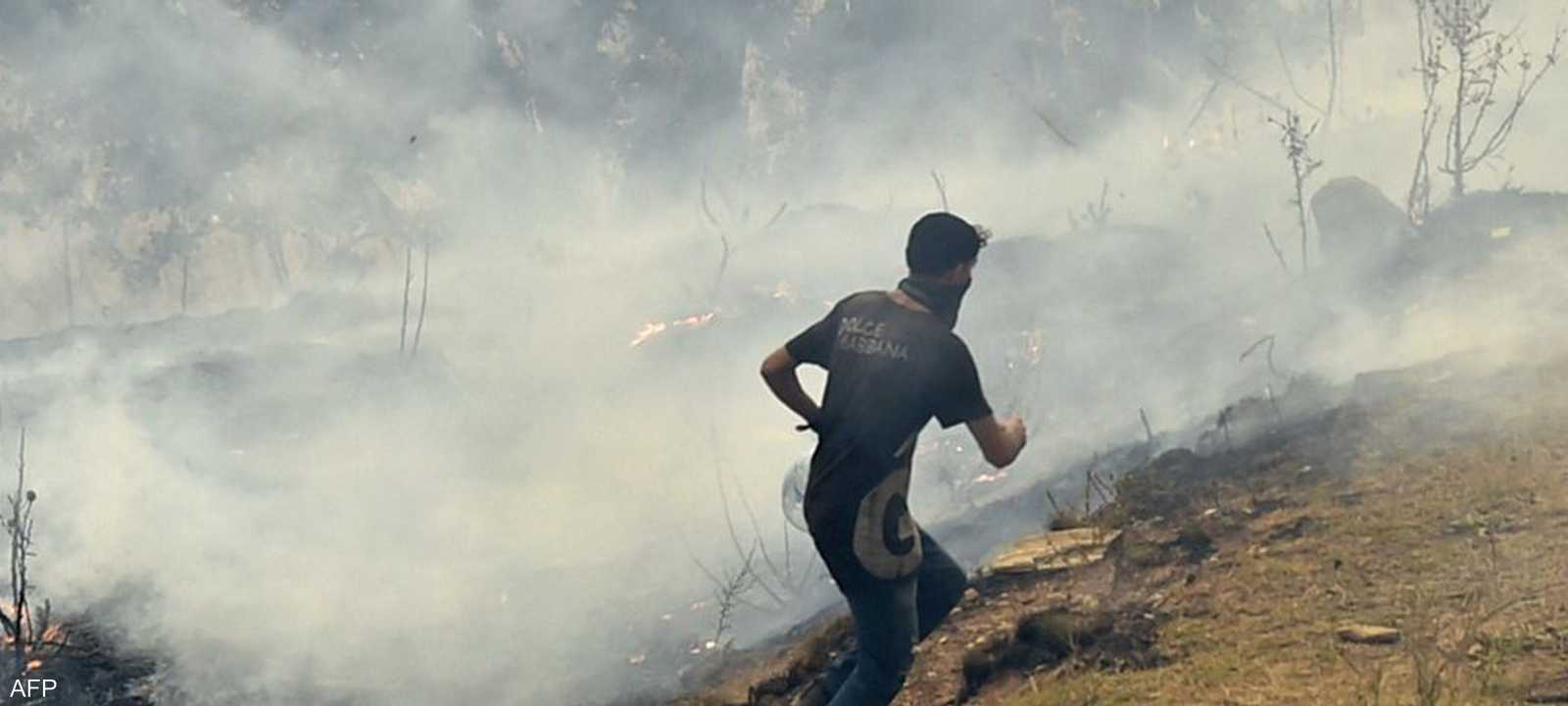 جانب من آثار حرائق الغابات في الجزائر.