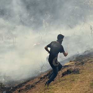 جانب من آثار حرائق الغابات في الجزائر.