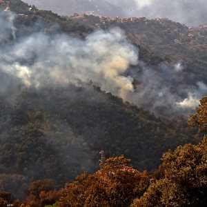 حرائق الجزائر خلفت عشرات الضحايا