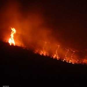 الحرائق أتت على نحو 200 هكتار من الغابات