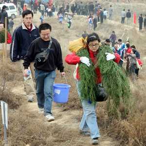 أرشيفية.. متطوعون يزرعون أشجارا في الصين
