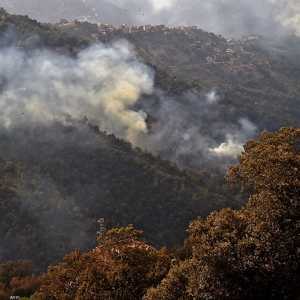 الحرائق في غابات تيزي وزو