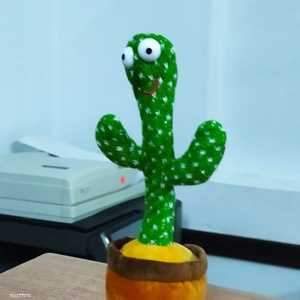 الصبارة الراقصة