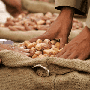 مصر تحقق طفرة بزراعة البلح والتمر