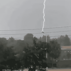 الفيديو أثار تفاعلا واسعا