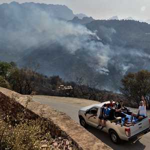 خلفت الحرائق أضرار جسيمة في الجزائر