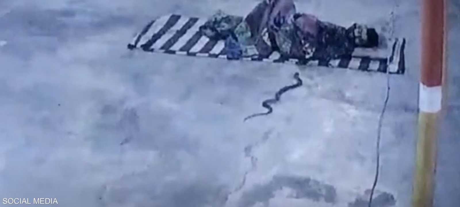 الرجل كان نائما في معبد عندما دخلت الأفعى فراشه