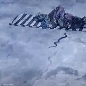 الرجل كان نائما في معبد عندما دخلت الأفعى فراشه