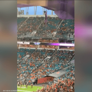 قطة تنجو من كارثة.. والسبب العلم الأميركي