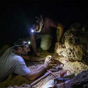 توثيق الموقع العلمي