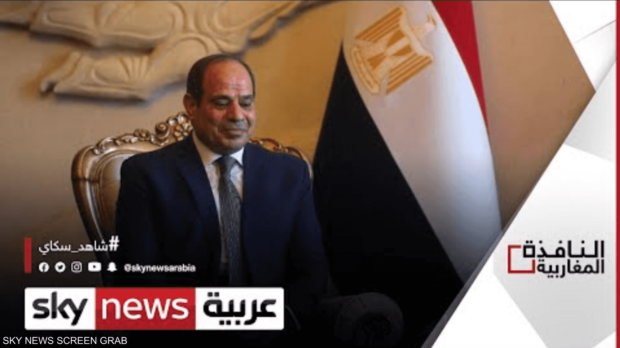 مصر تدعو لإخراج المرتزقة من ليبيا