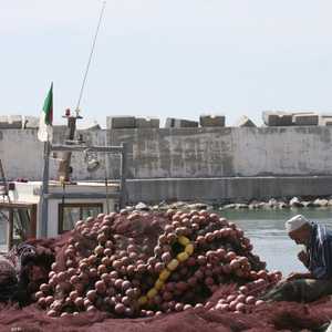 الجزائر تسعى لتنويع مصادر الإنتاج بالثروة السمكية