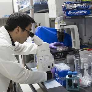 أرشيفية.. عالم يفحص عينة من دم مصاب بالسرطان