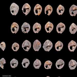 مجوهرات عمرها آلاف السنين ووجدت بالمغرب