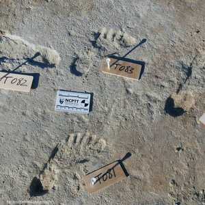 صور آثار الأقدام كما نشرتها جامعة بورنماوث