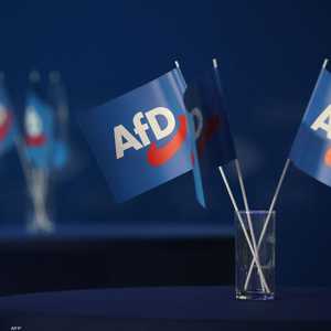 أعلام حملة البديل من أجل ألمانيا