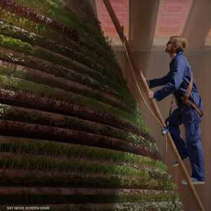 الزراعة العمودية إحدى مبتكرات جناح هولندا في إكسبو 2020 دبي