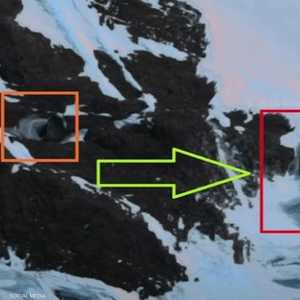 الصورة الغريبة في القارة القطبية