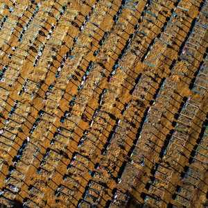 صورة جوية لمقبرة تضم جثامين ضحايا كورونا في البرازيل.