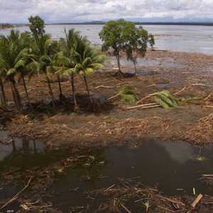 تم إنقاذهما قبالة ساحل بابوا غينيا الجديدة