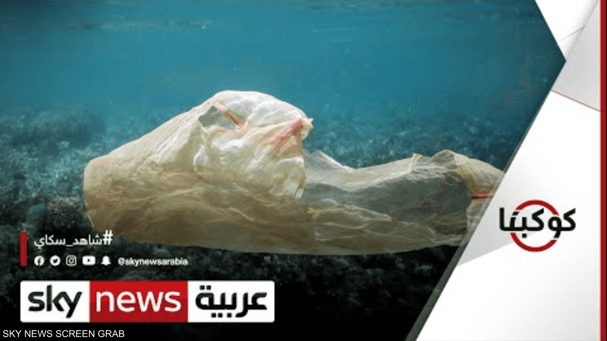 تعرف على قصة واحدة من أخطر المواد على الحياة البحرية والكوكب
