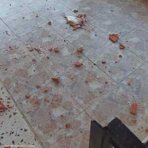 سقوط سمكة من "الفضاء" على منزل لبناني