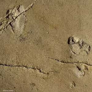 الآثار في كريت