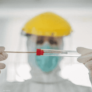 السلالة الجديدة تخضع للتحقيق