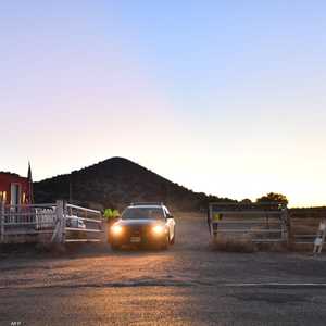 الشرطة الأميركية في مكان وقوع جريمة قتل مديرة التصوير