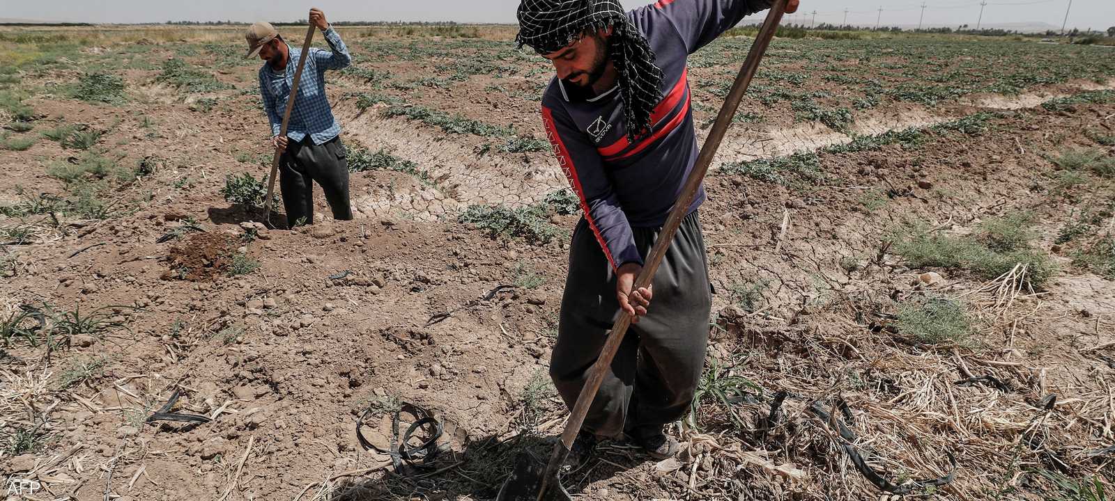 أصبحت الزراعة في العراق أكثر صعوبة بسبب شح المياه