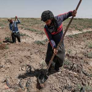أصبحت الزراعة في العراق أكثر صعوبة بسبب شح المياه